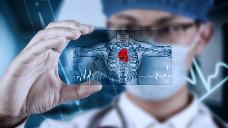 易胖体质调理：揭秘背后的科学原理与误区**