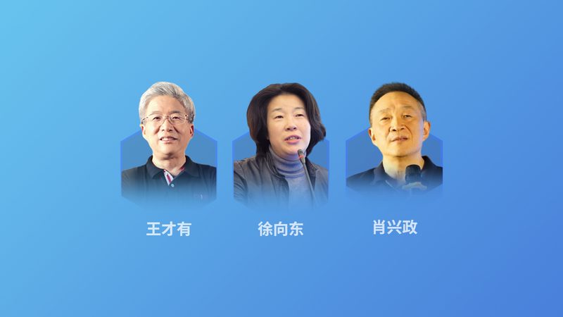 腰椎调理拉伸动作，老年人安全方法大揭秘